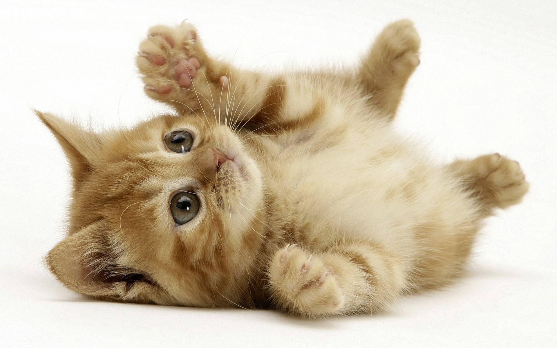 Cutesy