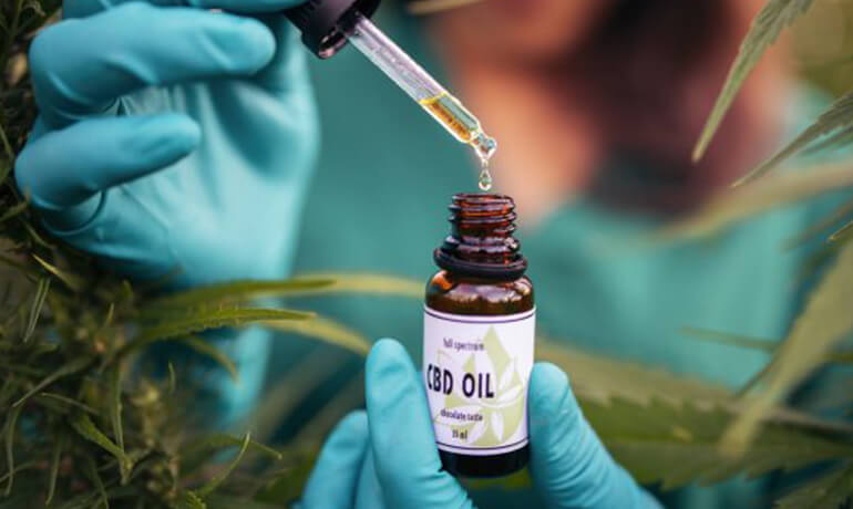 CBD Gummies Info